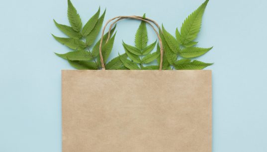 sacolas-de-papel-uma-opção-eco-friendly-para-as-festas juninas