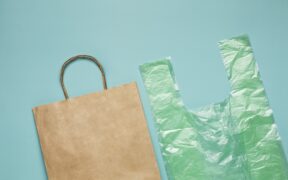 sacola-de-papel-x-sacolas-plasticas-qual-escolher