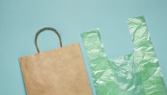 sacola-de-papel-x-sacolas-plasticas-qual-escolher